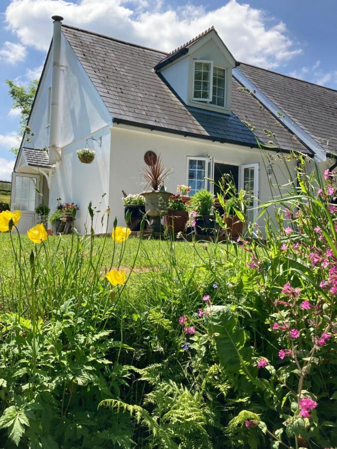 Cargibbitt Annexe Villa Liskeard Eksteriør bilde