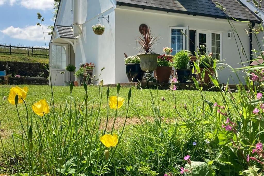 Cargibbitt Annexe Villa Liskeard Eksteriør bilde